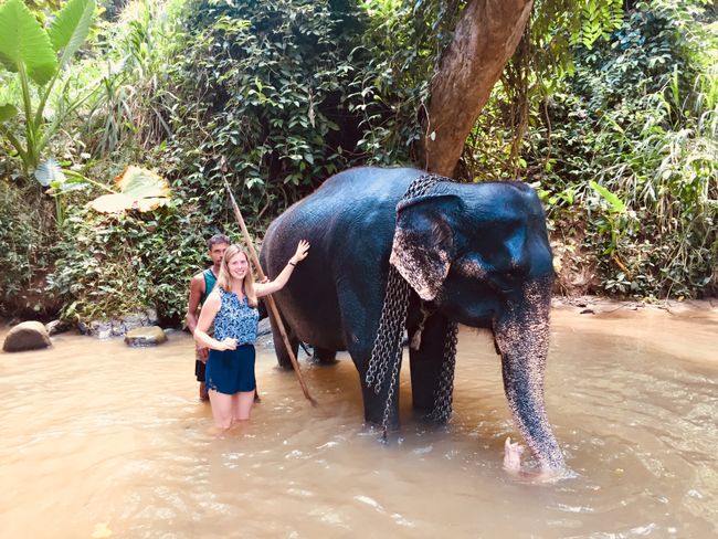 22.09. - Elephants 🐘 and Kandy