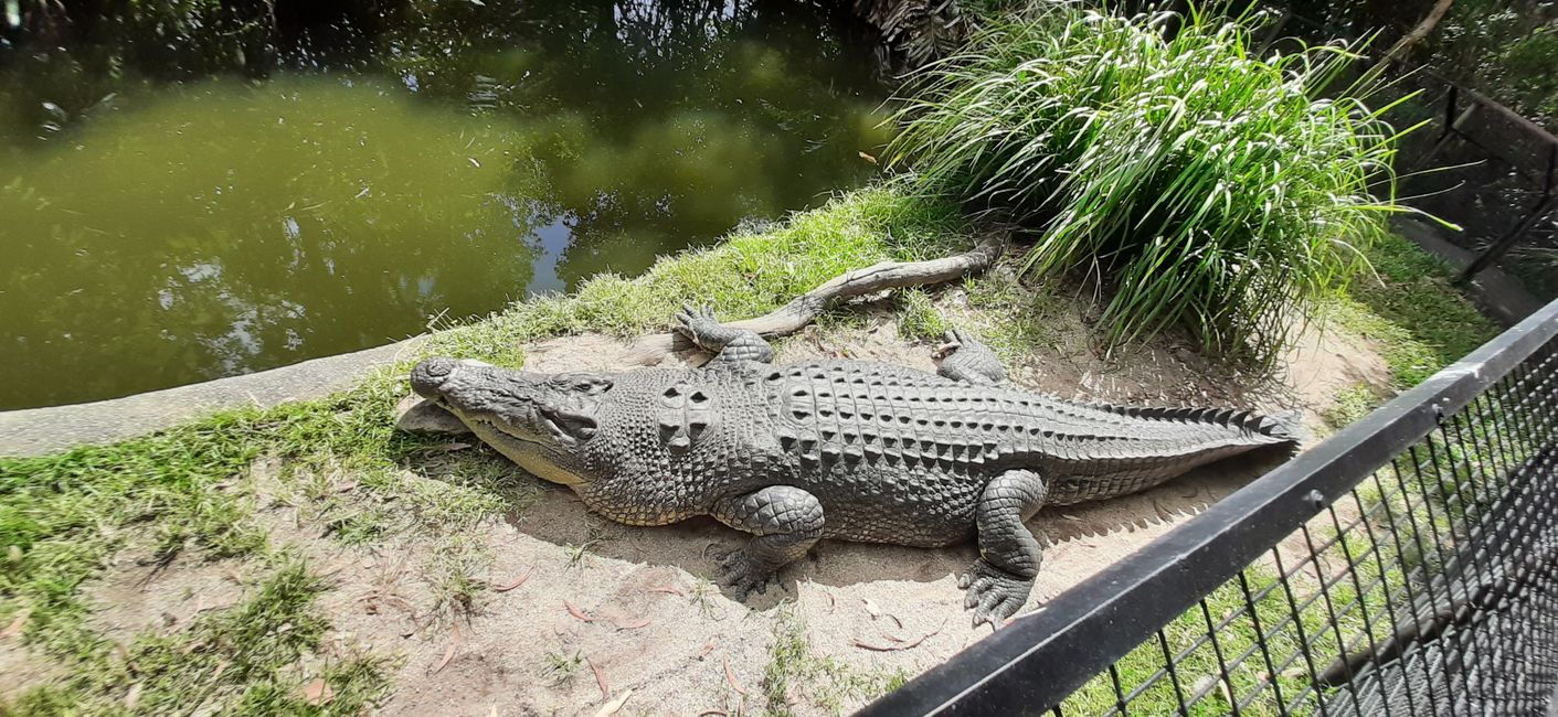 Hartley's Crocodile Adventures 