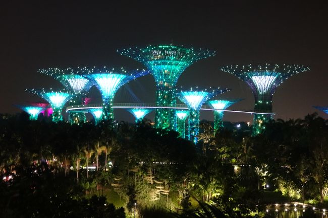 Day 205 Garden by the Bay