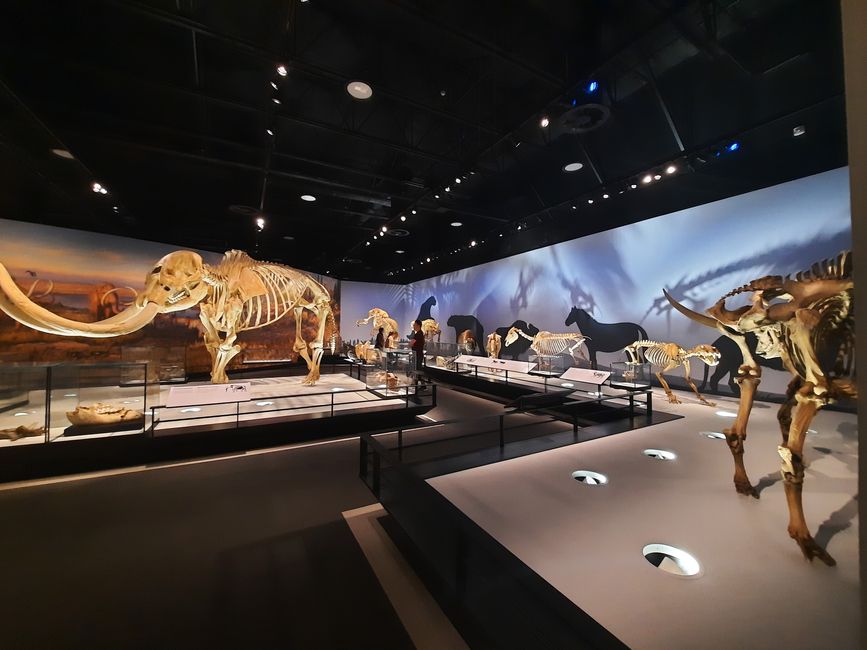 A look at the Royal Alberta Museum in Edmonton.