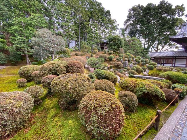 Wundervolle japanische Gärten 