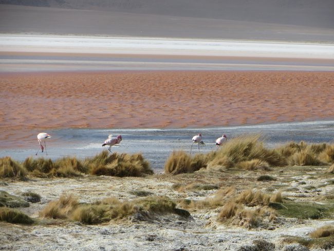 Salar de Uyuni