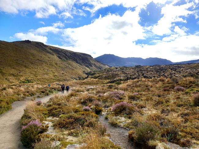 The path of the Tongariro Alpine Crossing 
