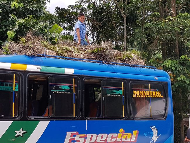 Ecuador (3): AMAZONAS - CUYABENO