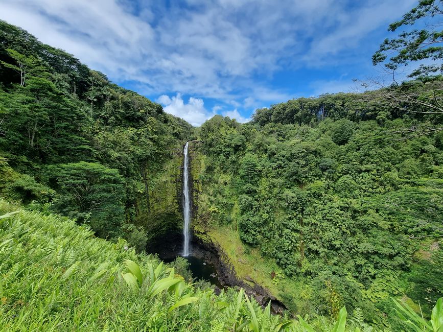 Hawaii 2022 - Teil 1: Big Island