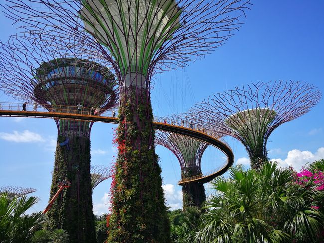 Singapur's Garten