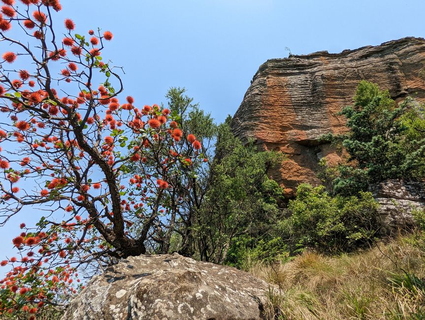 Hiked and Survived in Little Switzerland/Drakensberg