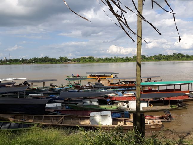 ab 29.11.: Puerto Maldonado im Amazonasbecken