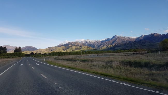 Nouvelle-Zélande Partie 3 : Dans le sud