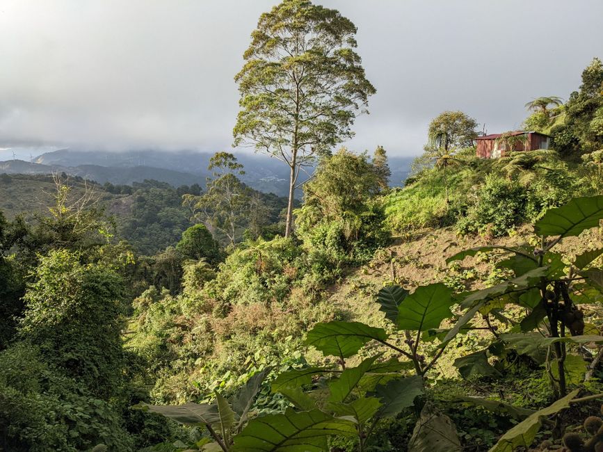11. Etappe: Cerro Alto: Garten Eden auf über 2000 m