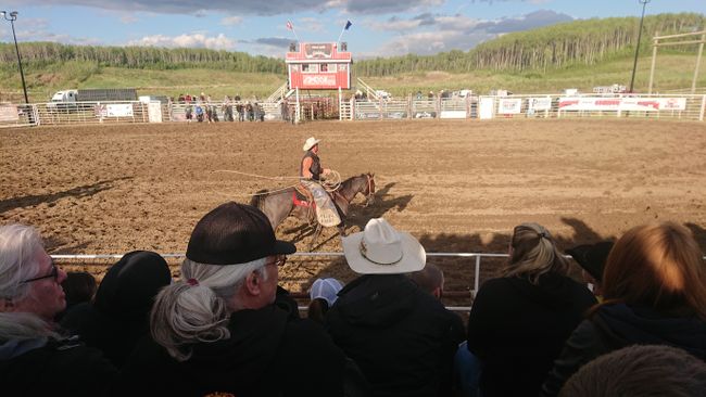 Cold Lake Rodeo, Bull Riding