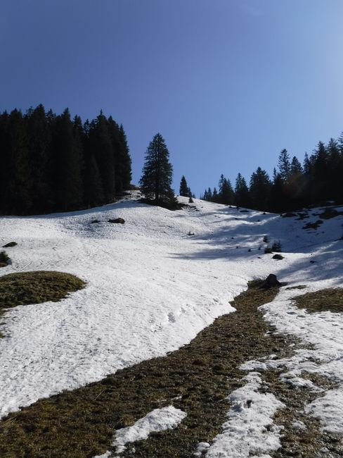 The source of Alplibach under the snow