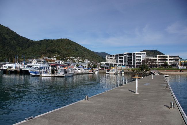 10/06/2018 - Back in Picton after 6 months