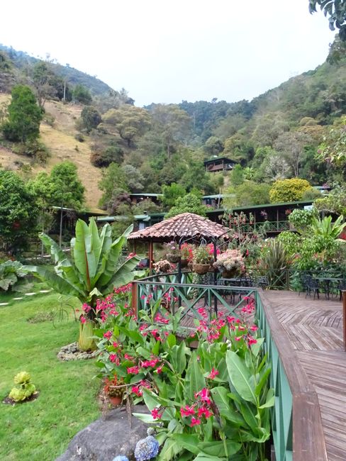 our hotel in Quetzal Valley. Unfortunately, it's impossible to capture the variety of plants in photos.