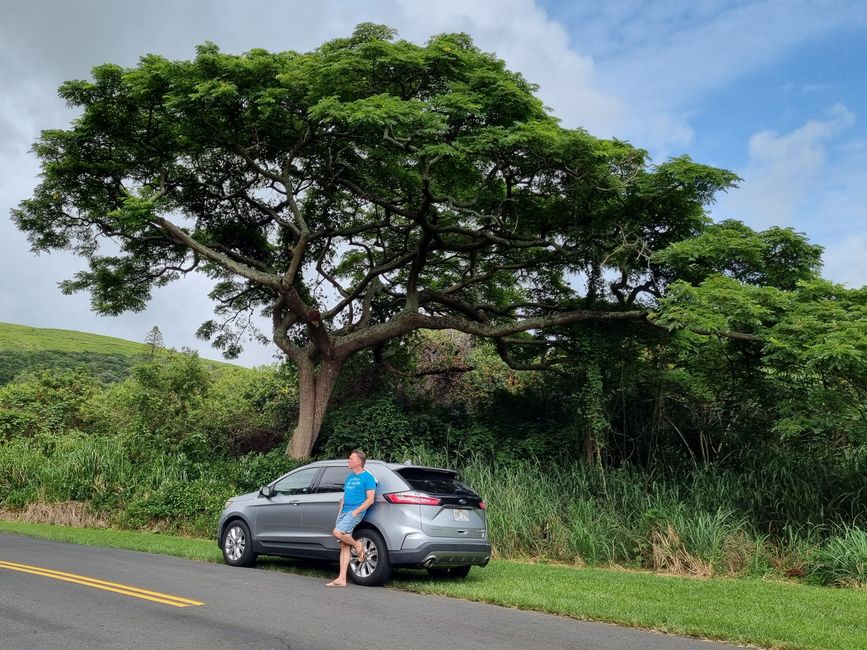 Hawaii 2022 - Teil 1: Big Island