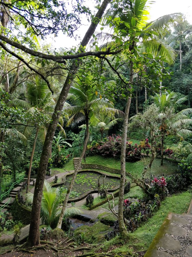 Garten bei Goja Gajah