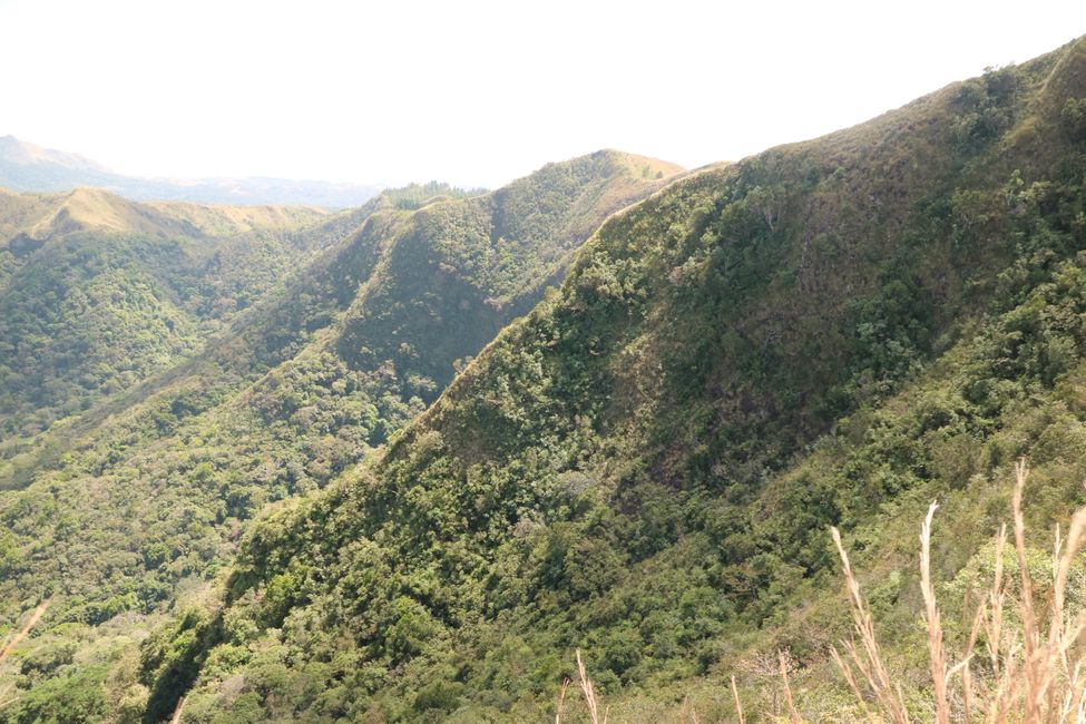 Cerro Cara Iguana