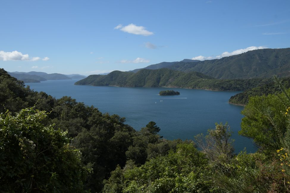 On the Queen Charlotte Drive