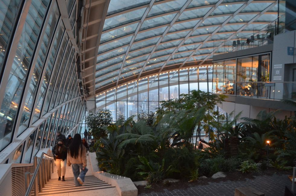 New Year's trip to the Sky Garden
