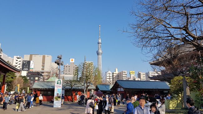 The Skytree. The 2nd tallest structure in the world. 