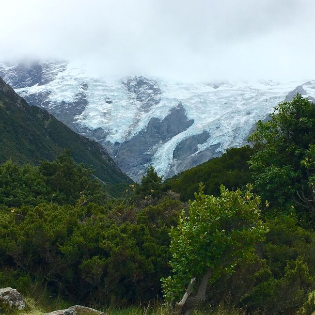 Der Hooker- Gletscher sieht etwas spektakulärer aus, zeigt sich nur nicht ganz