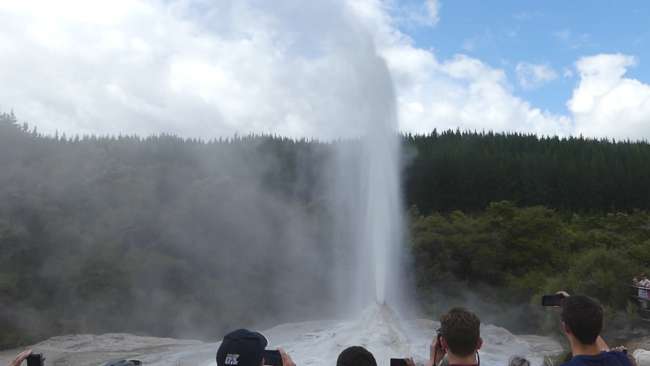 The geyser spouted that high