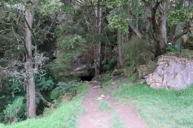 Waipu Caves