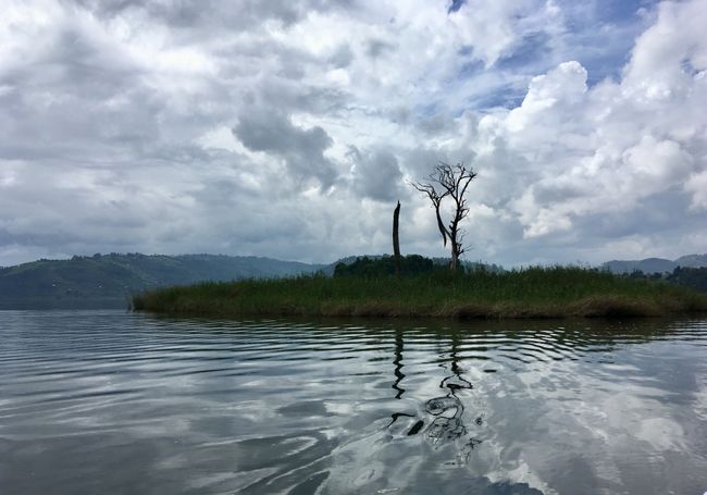 Week 3 - Kenya, Uganda