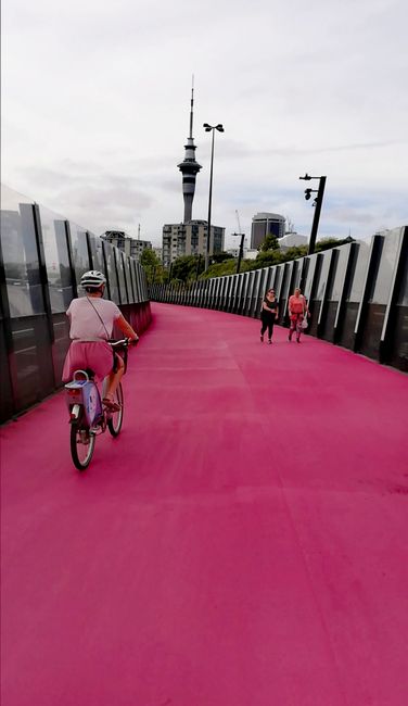 Pink Bike Lane