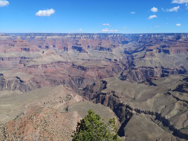 Day 32 to Day 35 - Grand Canyon