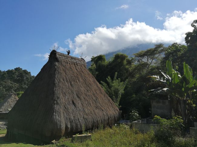 Umgeben von Vulkanen, heißen Quellen und traditionellen Dörfern in Bajawa