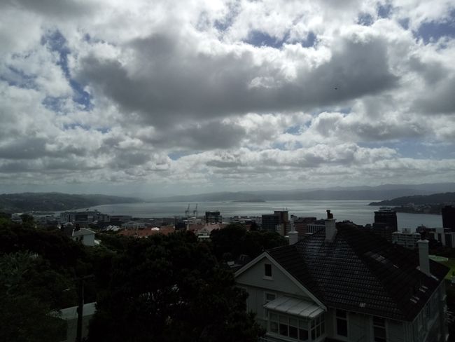 View of Wellington from the Botanic Gardens in the morning