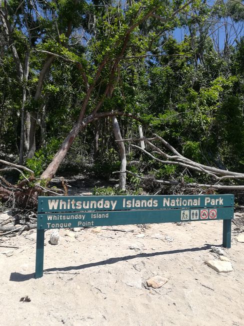 Tagestour zu den Whitsundays & Whitehaven Beach