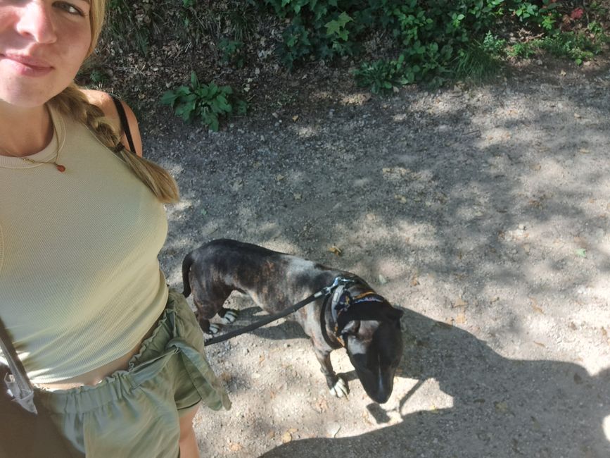 We're still practicing hiking selfies...