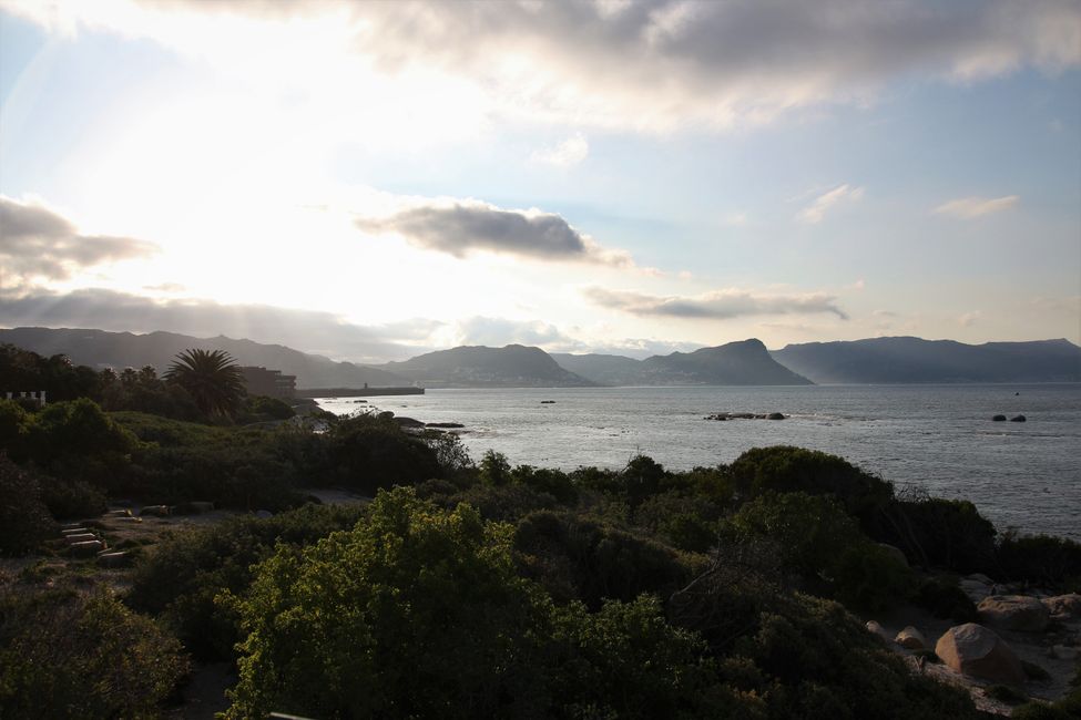 Jour 19 : Le Cap ! Montagne de la Table, plage et pingouins