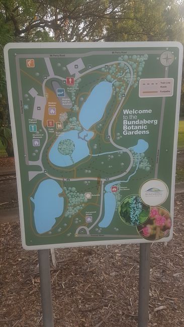 Botanical garden in Bundaberg.