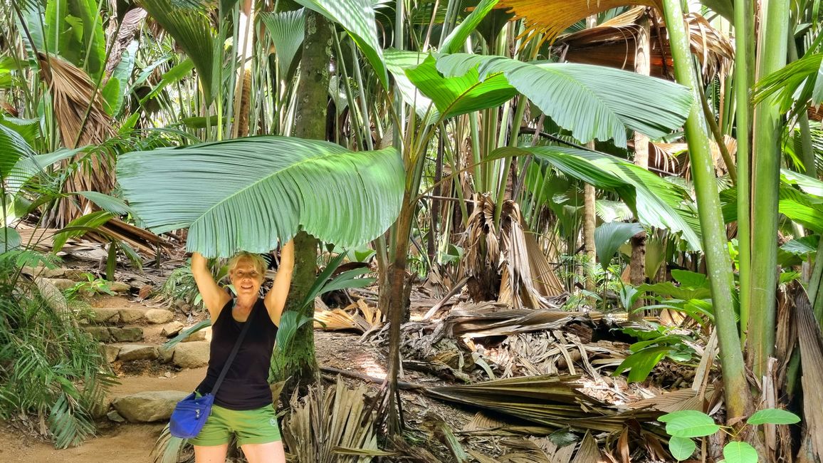 Seychelles 2023 - Part 2: Praslin