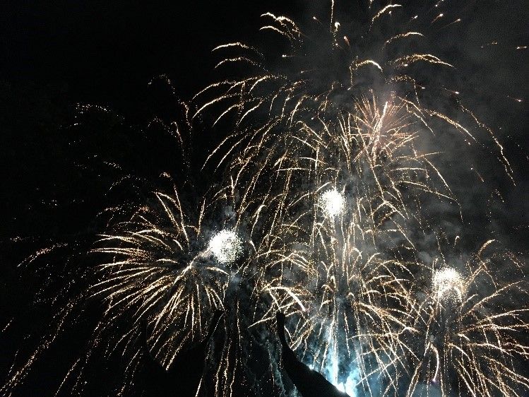 Silvester-Feuerwerk in Wellington