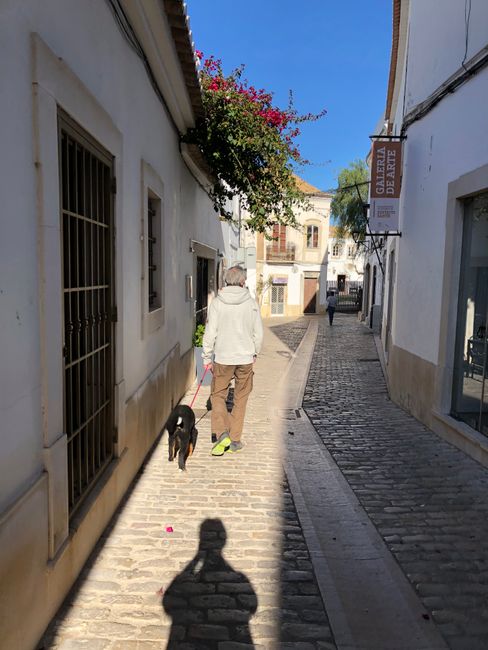 Loulé and Algarve like in a picture book