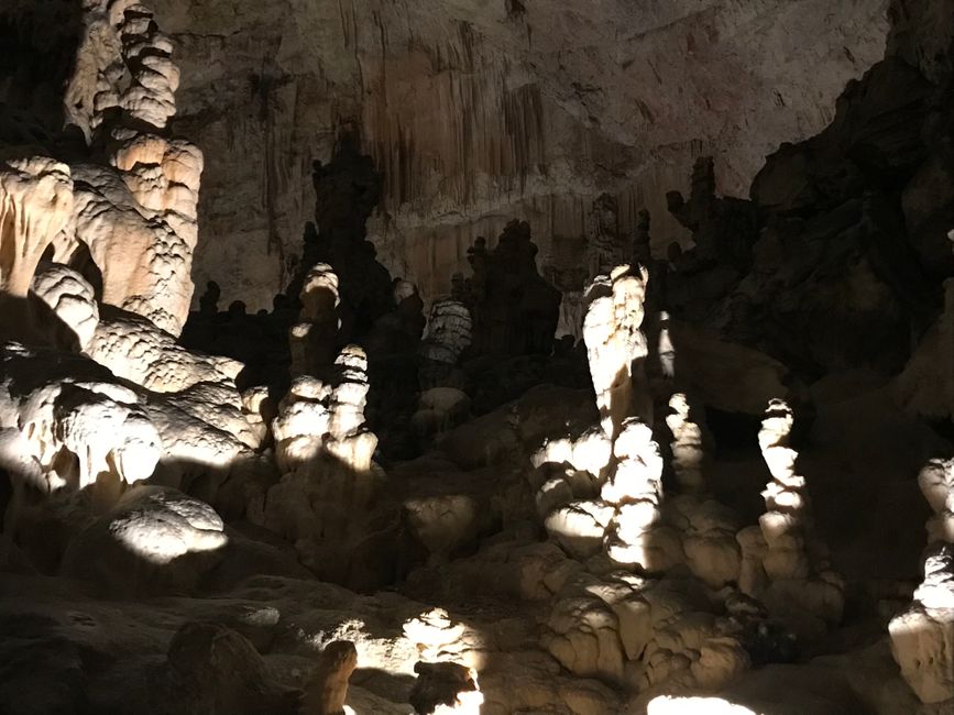 Postojnska Jama und die Suche nach dem Grottenolm