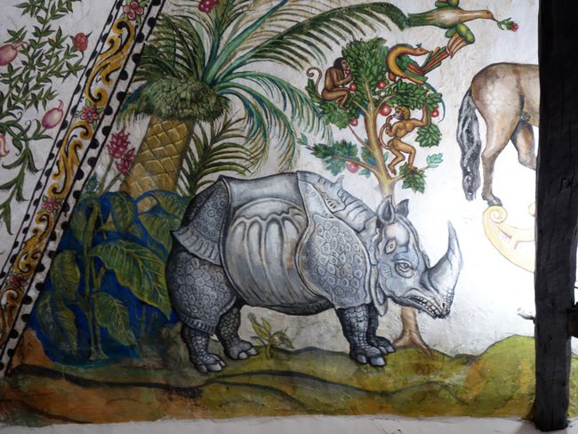 Rhino in the Casa del Escribano