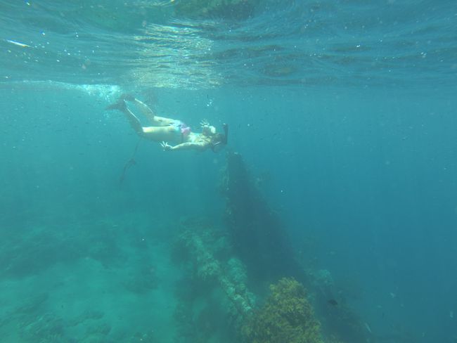 Snorkeling at the Japanese shipwreck