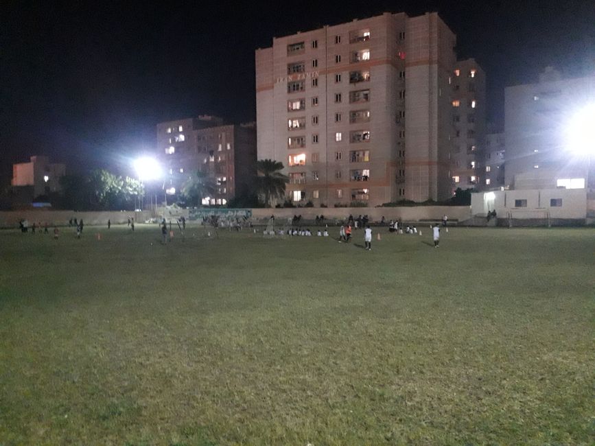 meadow in front of residential block