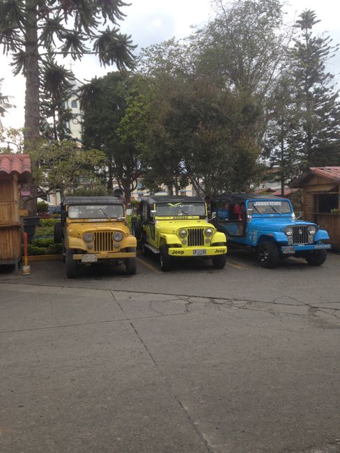 Jeeps für den Transport von Touristen