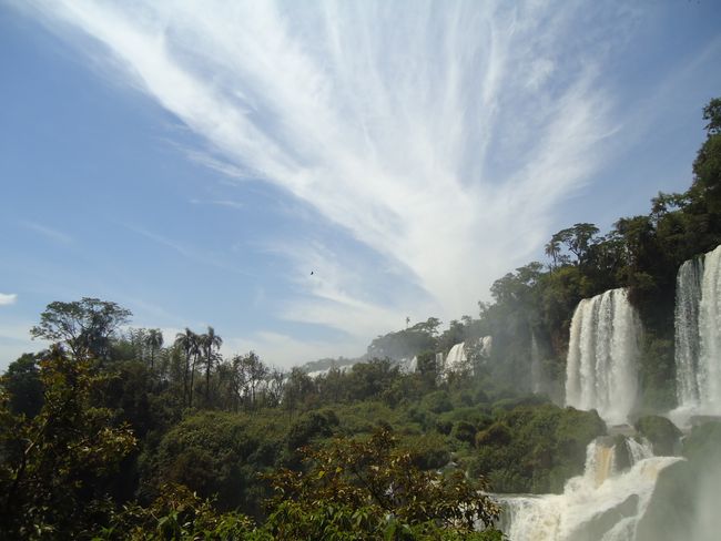 Iguazu - Water masses and jungle