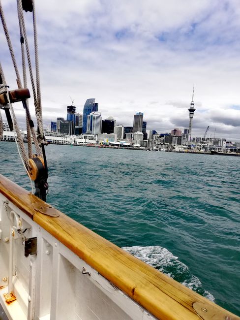 Segelbootfahrt durch den Hafen Aucklands