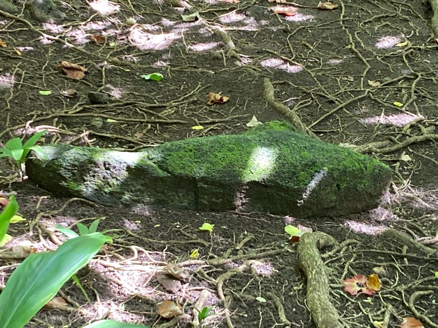 Heiliger Stein auf dem Gelände des Marae