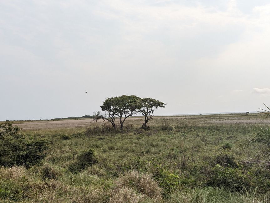 Parc marin d'iSimangaliso