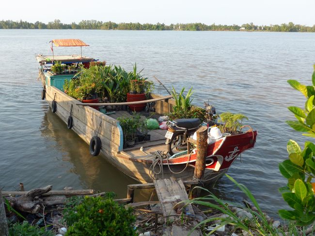 Mekong Delta (Mekong Cruise Part 1)
