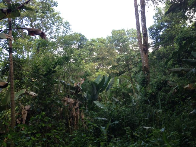 Costa Rica vacation